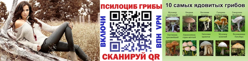 Купить закладки  Данилов  Галлюциногенные грибы GOLDEN TEACHER 
